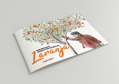 Boas Práticas de Colheita e Pós-colheita da Laranja – Cartilha